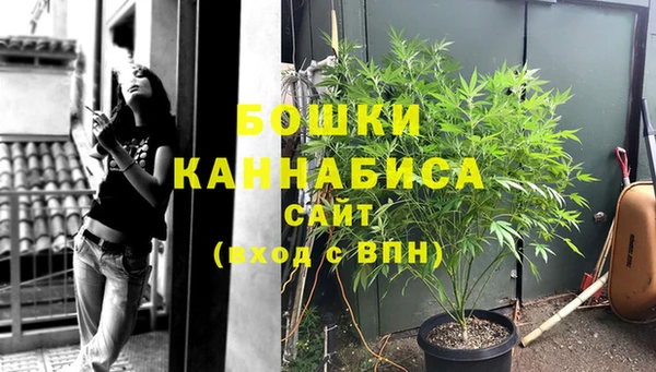 PSILOCYBIN Аркадак