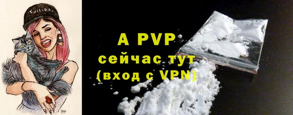 PSILOCYBIN Аркадак