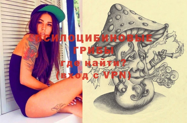 PSILOCYBIN Аркадак
