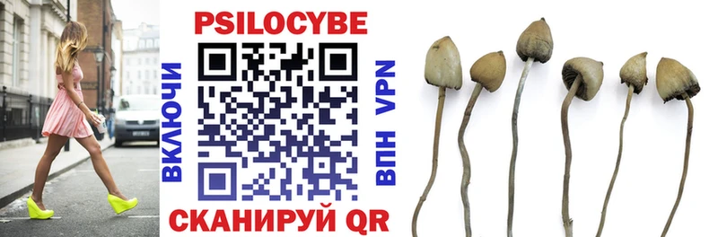 Псилоцибиновые грибы GOLDEN TEACHER  Багратионовск 